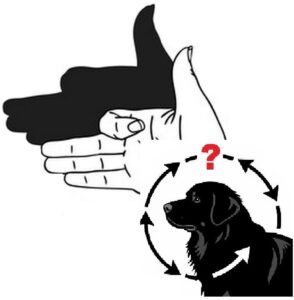 рефлексы собак дрессировка