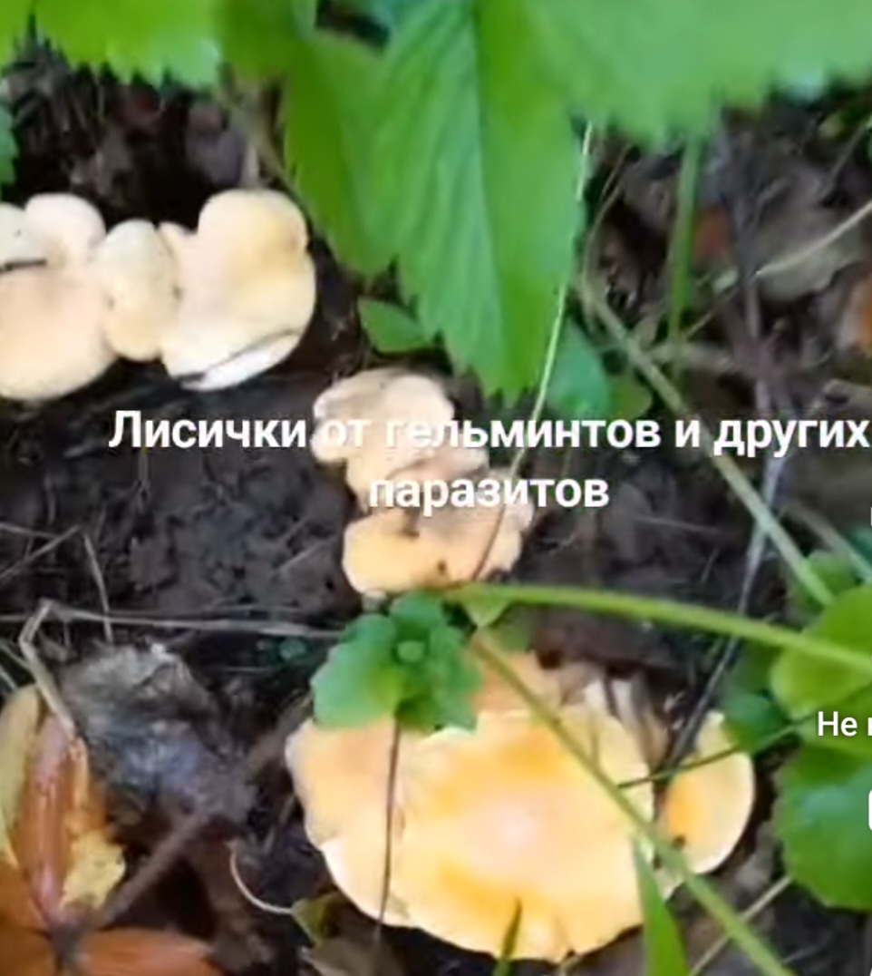 1000478471.jpg