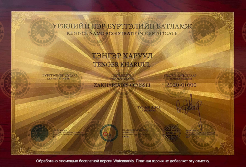 MKF Certificate защита